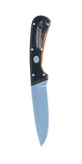 Buffalo Fixed Blade Spear Point 9"